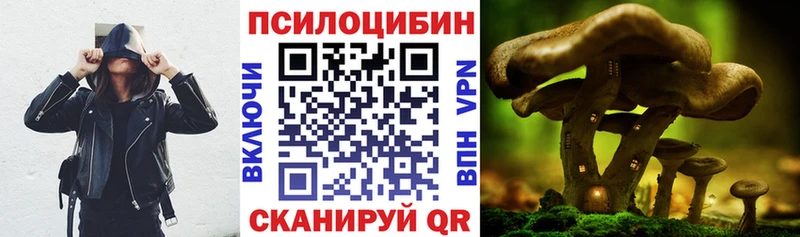 дарнет шоп  Гаджиево  Псилоцибиновые грибы Magic Shrooms 